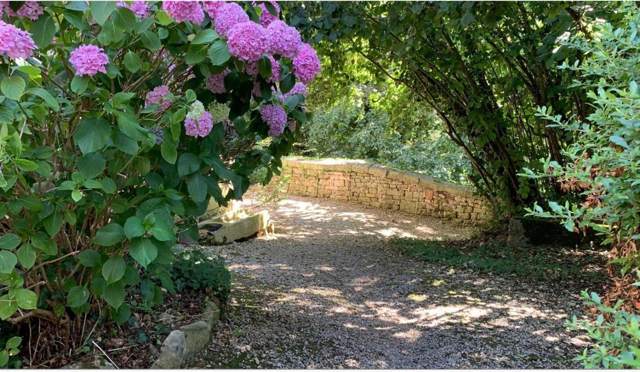 Mazette! Le Chateau Niort Eksteriør bilde